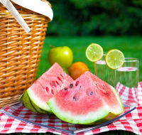 Picnic with watermelon