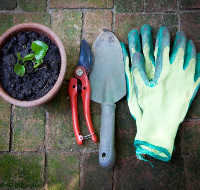 Allotment gardening tools
